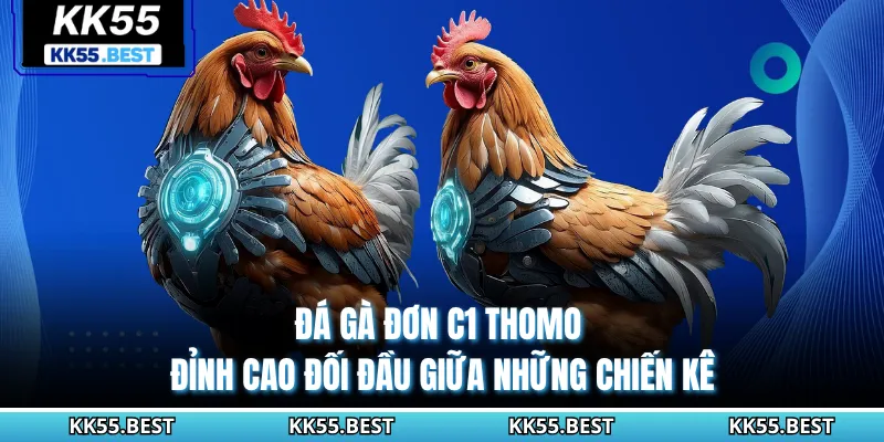 Đá Gà Đơn C1 Thomo - Đỉnh Cao Đối Đầu Giữa Những Chiến Kê