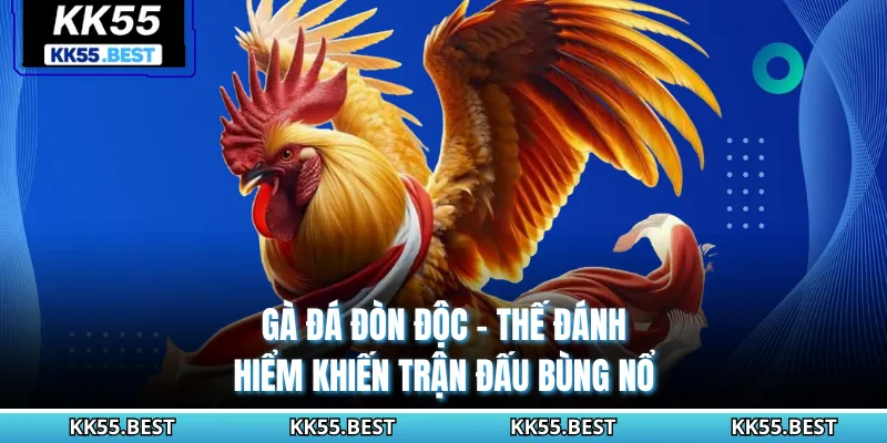 Gà Đá Đòn Độc - Thế Đánh Hiểm Khiến Trận Đấu Bùng Nổ