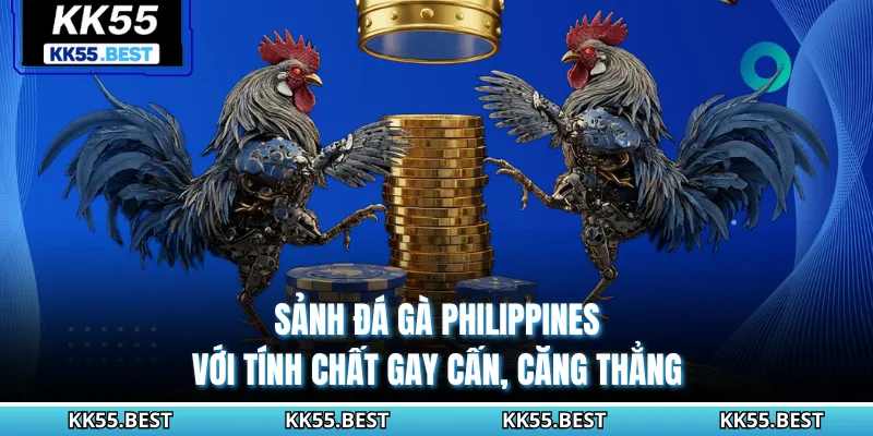 Sảnh đá gà Philippines với tính chất gay cấn, căng thẳng