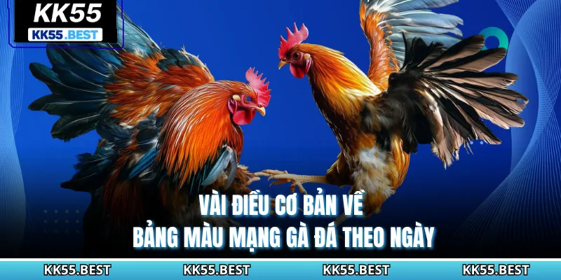 Vài điều cơ bản về bảng màu mạng gà đá theo ngày